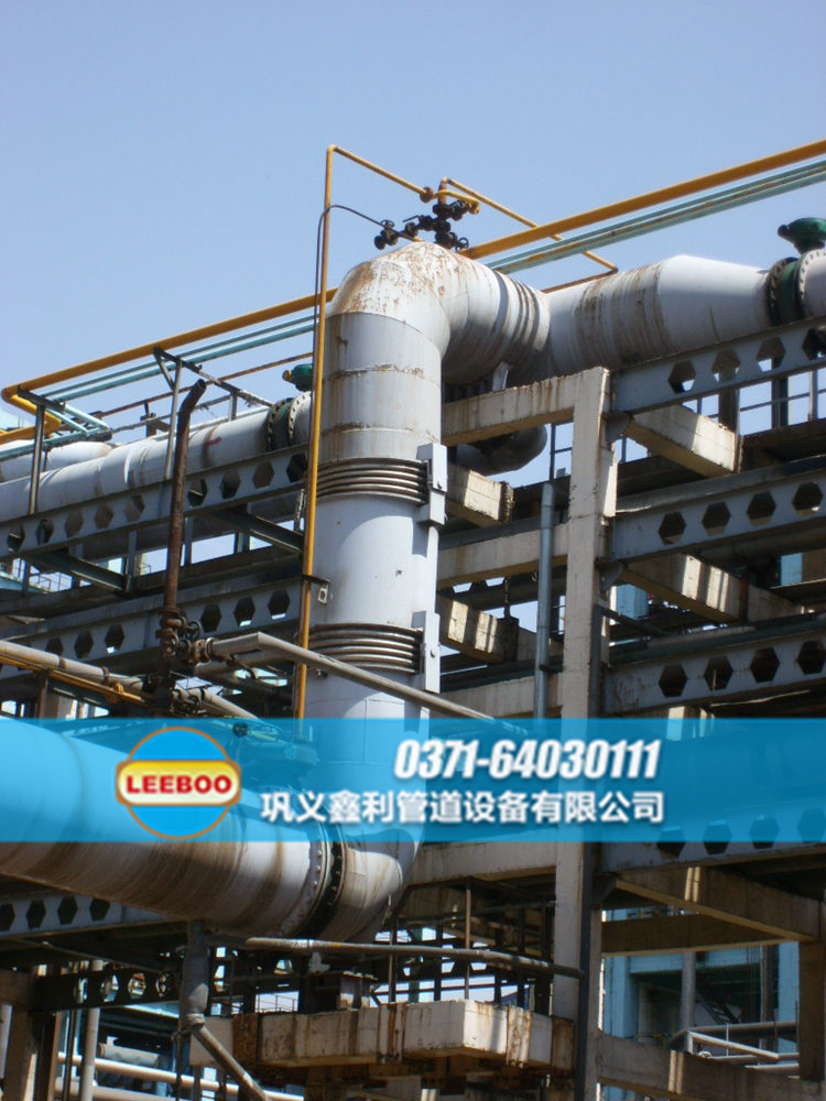 西藏拉萨市曲水县双铰链<a href=http://www.xinlihn.com target=_blank class=infotextkey>补偿器</a>图